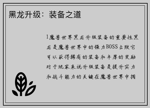 黑龙升级：装备之道